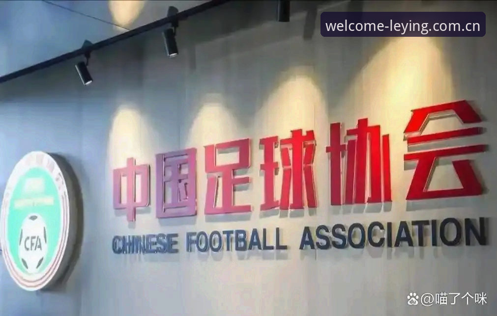 揭秘足协第三批禁足令：65人名单背后的足球腐败链条
