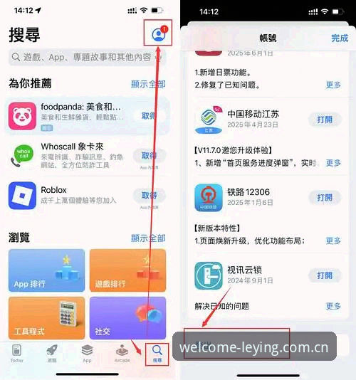 乐盈welcome网址常见问题 vs 2026版官方入口：哪个更稳定可靠？